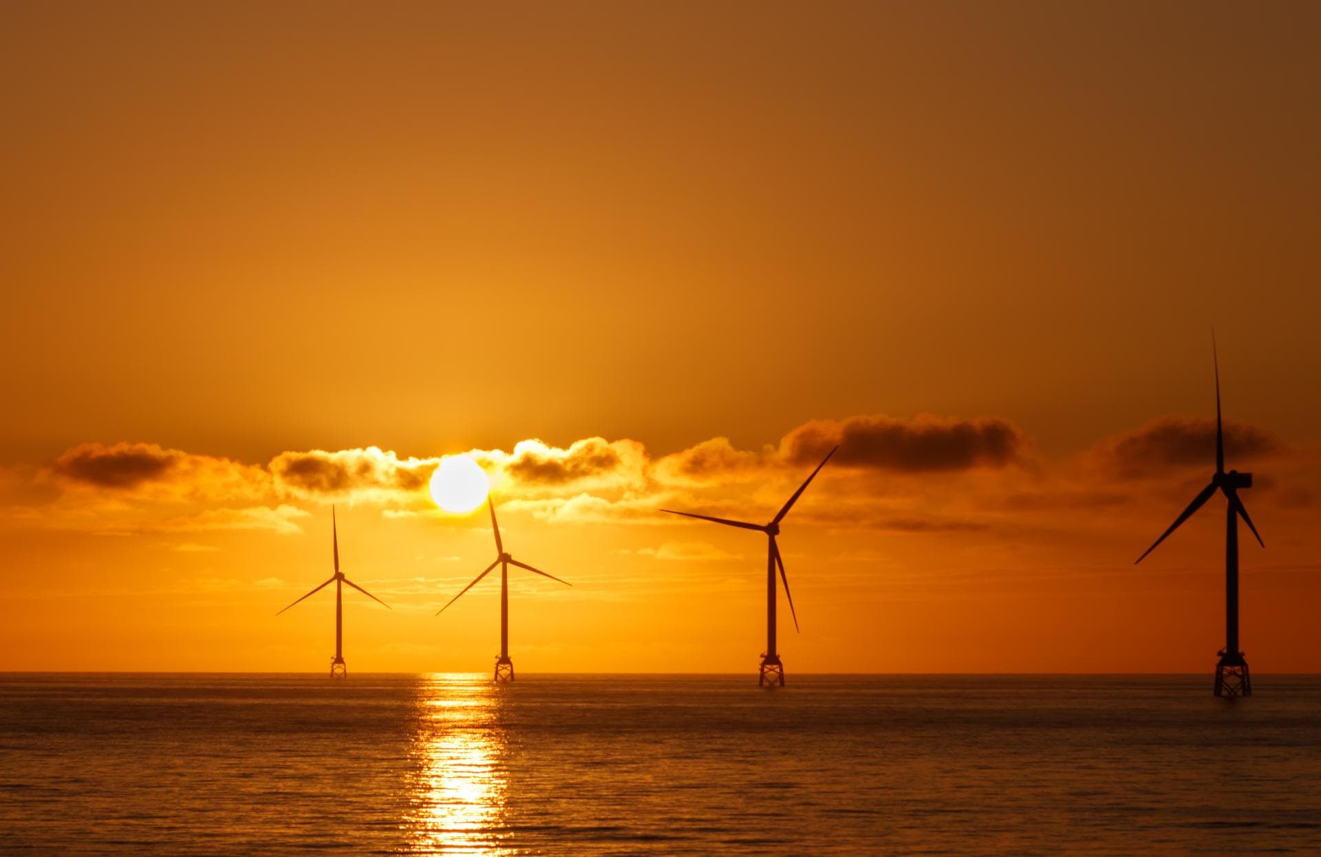 An app enabling students to access and manage their training records and certifications, streamlining the learning process.